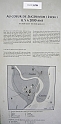 Lione 058